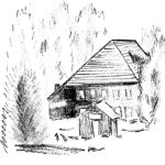 Zunge an Kapernsauce und Kartoffelstock